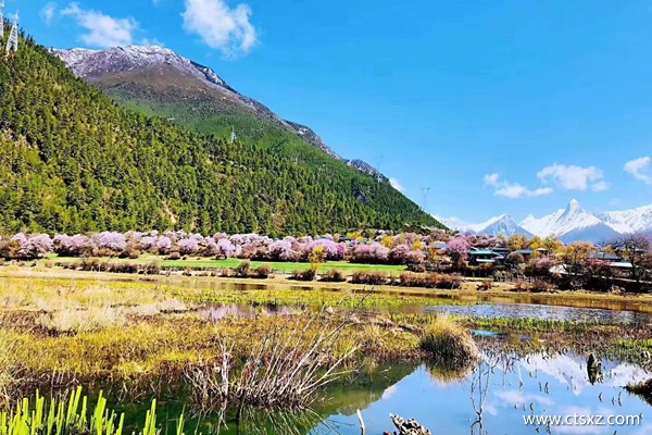 拉薩旅行報價