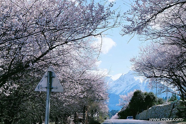 林芝報團旅游