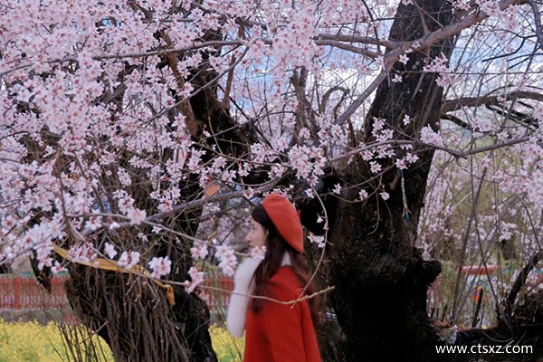 去西藏跟團(tuán)價(jià)格多少錢